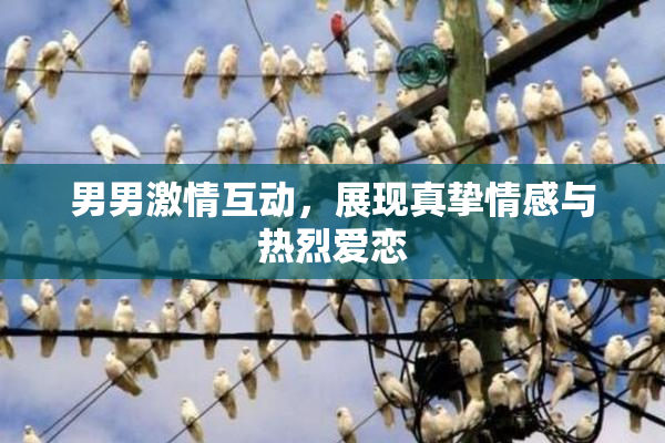 男男激情互动，展现真挚情感与热烈爱恋