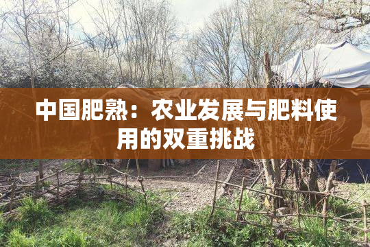 中国肥熟：农业发展与肥料使用的双重挑战