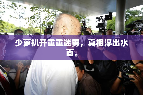 少萝扒开重重迷雾，真相浮出水面。
