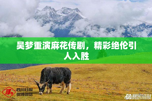 吴梦重演麻花传剧，精彩绝伦引人入胜