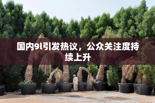 国内9l引发热议，公众关注度持续上升