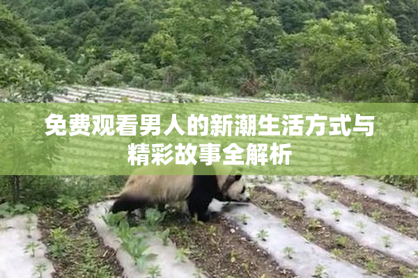 免费观看男人的新潮生活方式与精彩故事全解析