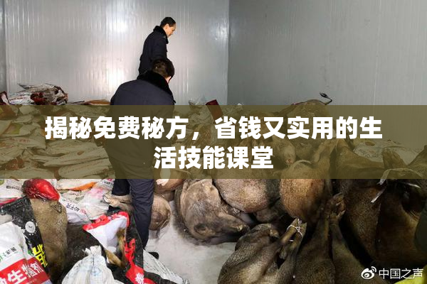 揭秘免费秘方，省钱又实用的生活技能课堂