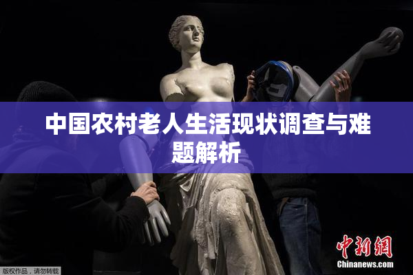 中国农村老人生活现状调查与难题解析