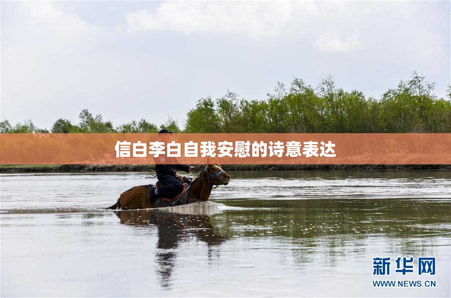信白李白自我安慰的诗意表达
