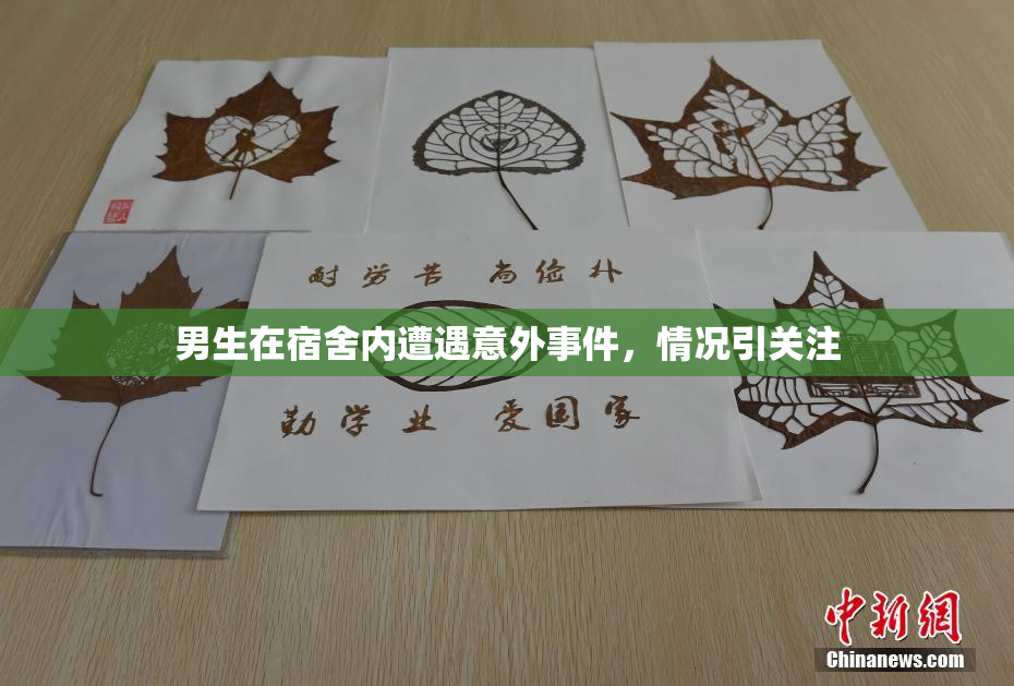 男生在宿舍内遭遇意外事件，情况引关注