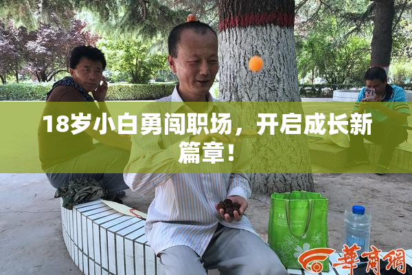 18岁小白勇闯职场，开启成长新篇章！