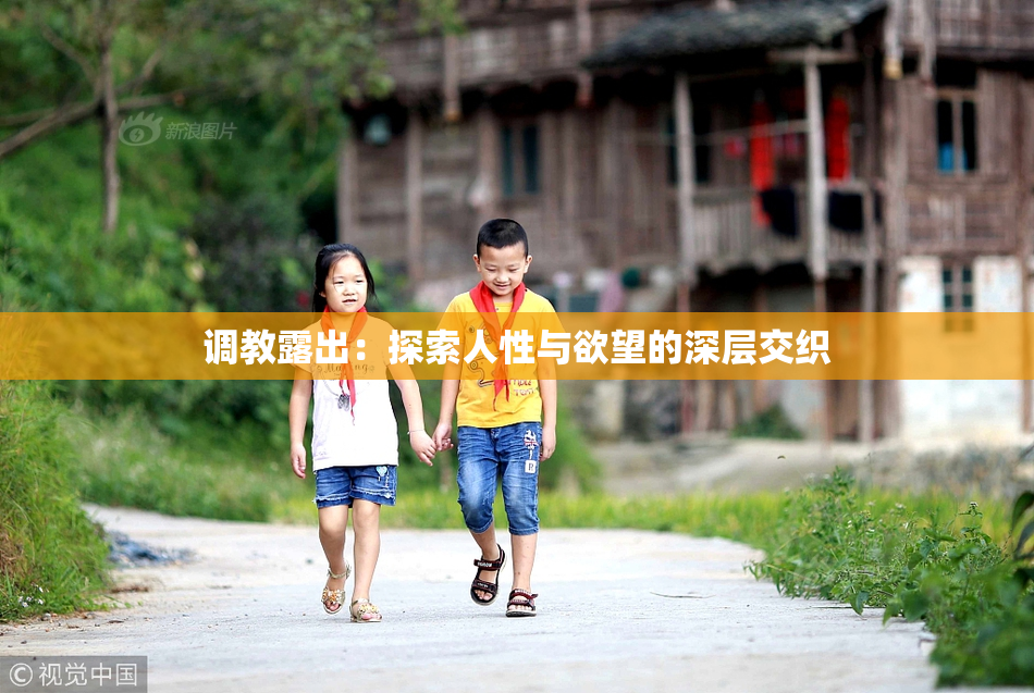 调教露出：探索人性与欲望的深层交织