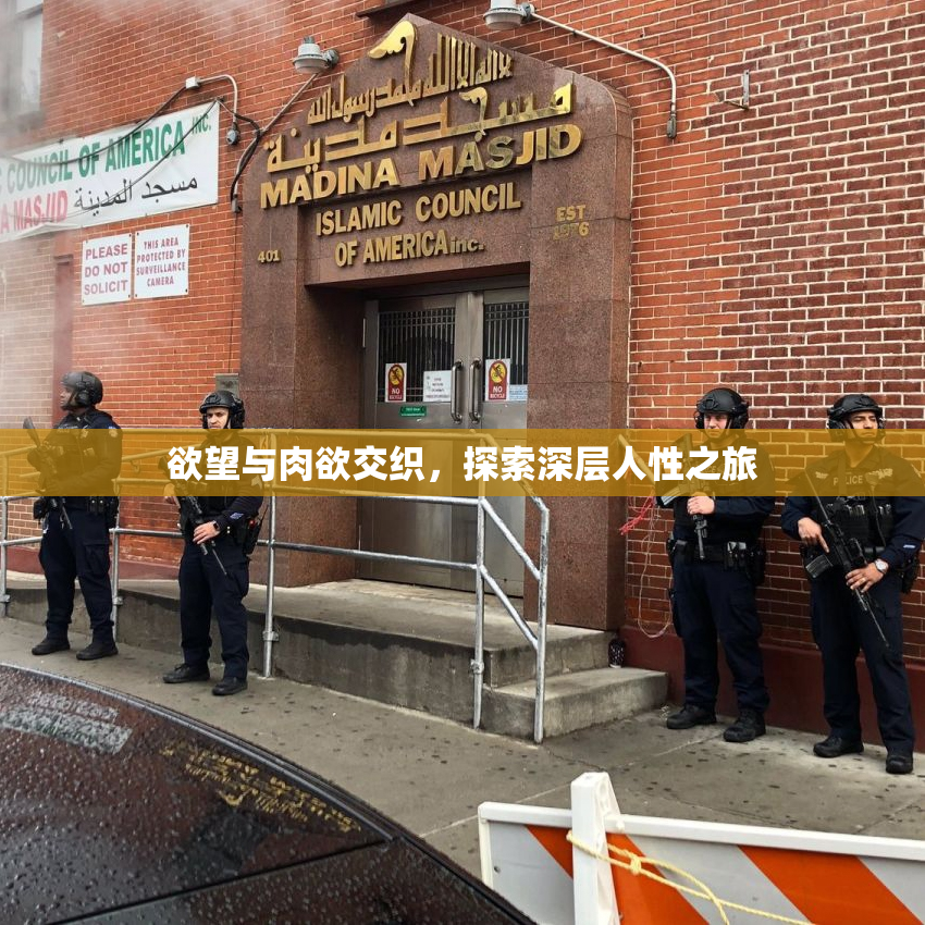 欲望与肉欲交织，探索深层人性之旅