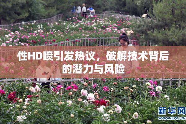 性HD喷引发热议，破解技术背后的潜力与风险