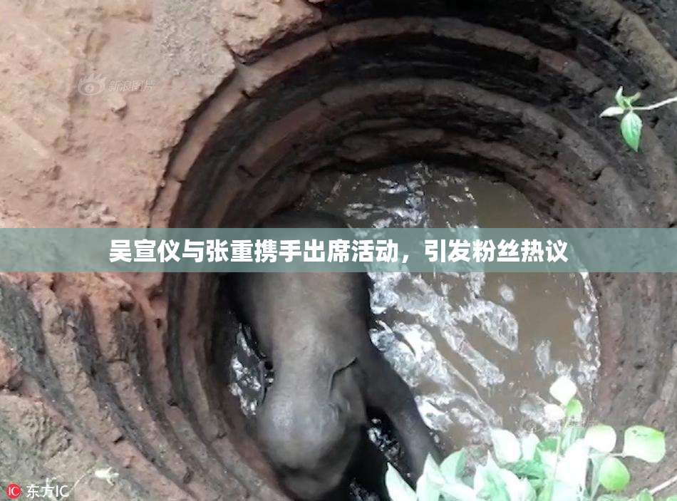 吴宣仪与张重携手出席活动，引发粉丝热议