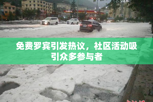 免费罗宾引发热议，社区活动吸引众多参与者