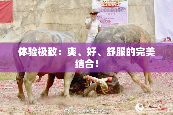 体验极致：爽、好、舒服的完美结合！