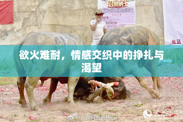 欲火难耐，情感交织中的挣扎与渴望