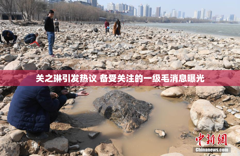 关之琳引发热议 备受关注的一级毛消息曝光