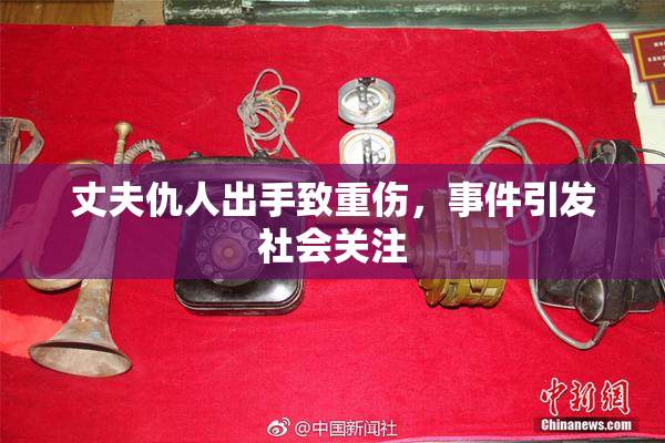 丈夫仇人出手致重伤，事件引发社会关注