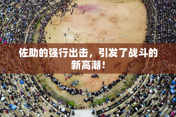 佐助的强行出击，引发了战斗的新高潮！