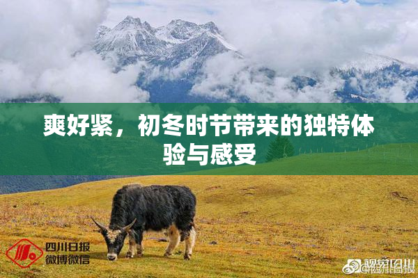 爽好紧，初冬时节带来的独特体验与感受