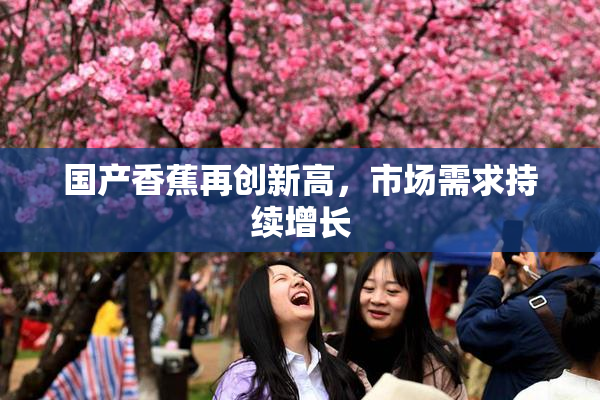 国产香蕉再创新高，市场需求持续增长