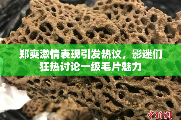 郑爽激情表现引发热议，影迷们狂热讨论一级毛片魅力