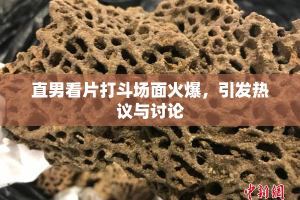 直男看片打斗场面火爆，引发热议与讨论