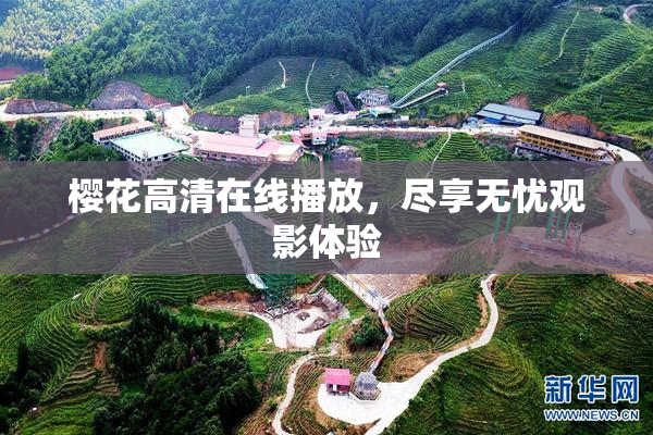樱花高清在线播放，尽享无忧观影体验
