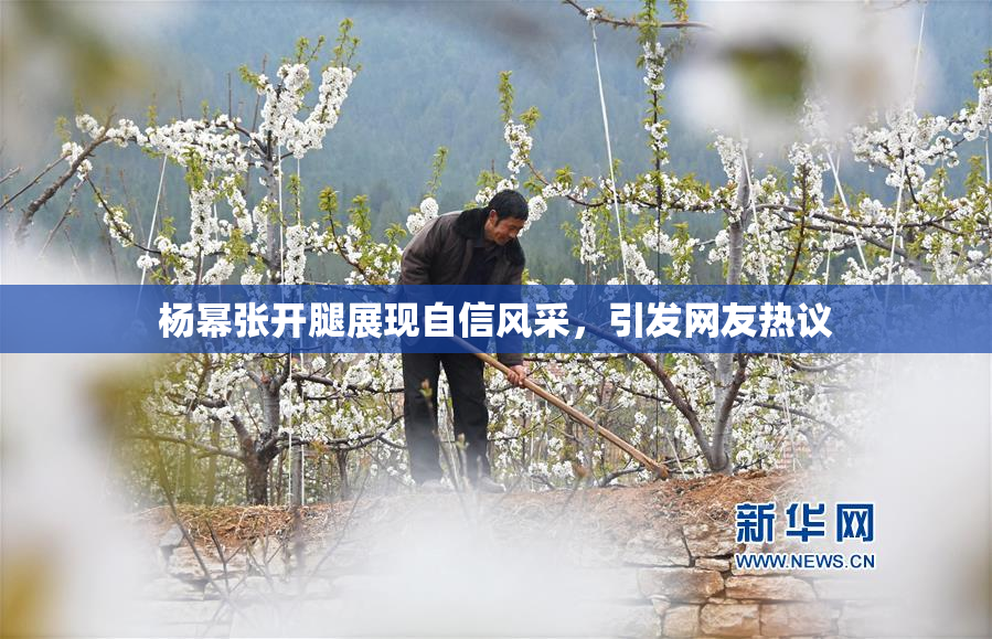杨幂张开腿展现自信风采，引发网友热议
