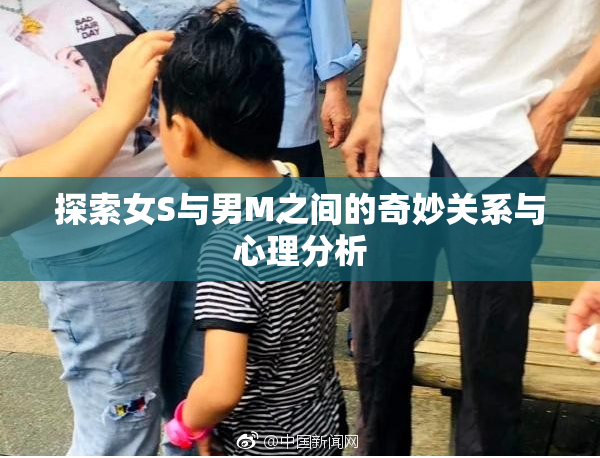 探索女S与男M之间的奇妙关系与心理分析