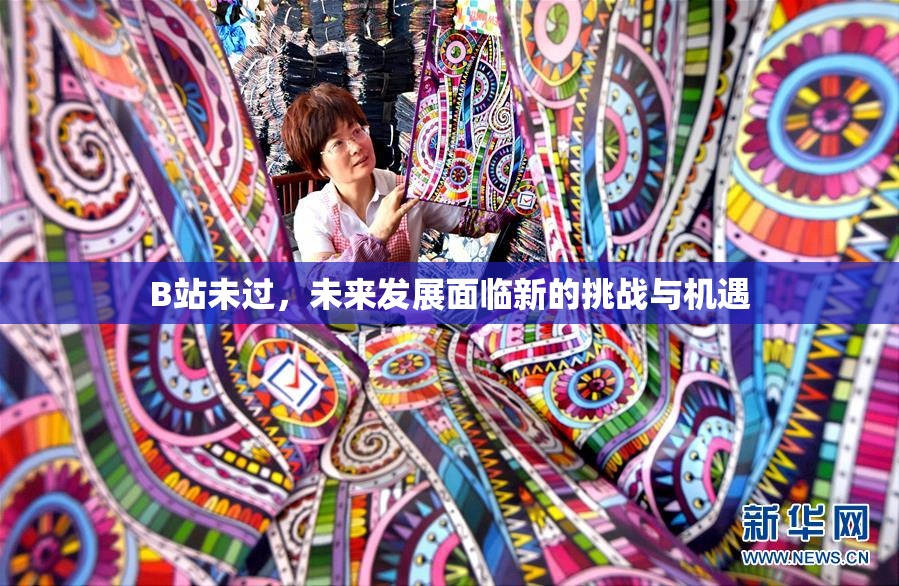 B站未过，未来发展面临新的挑战与机遇