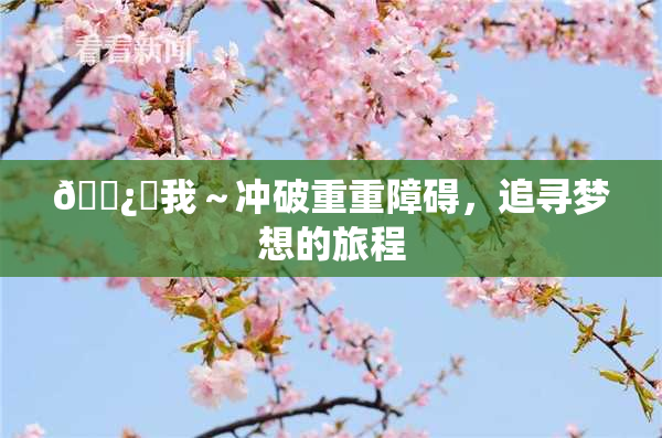 🌿‌我～冲破重重障碍，追寻梦想的旅程