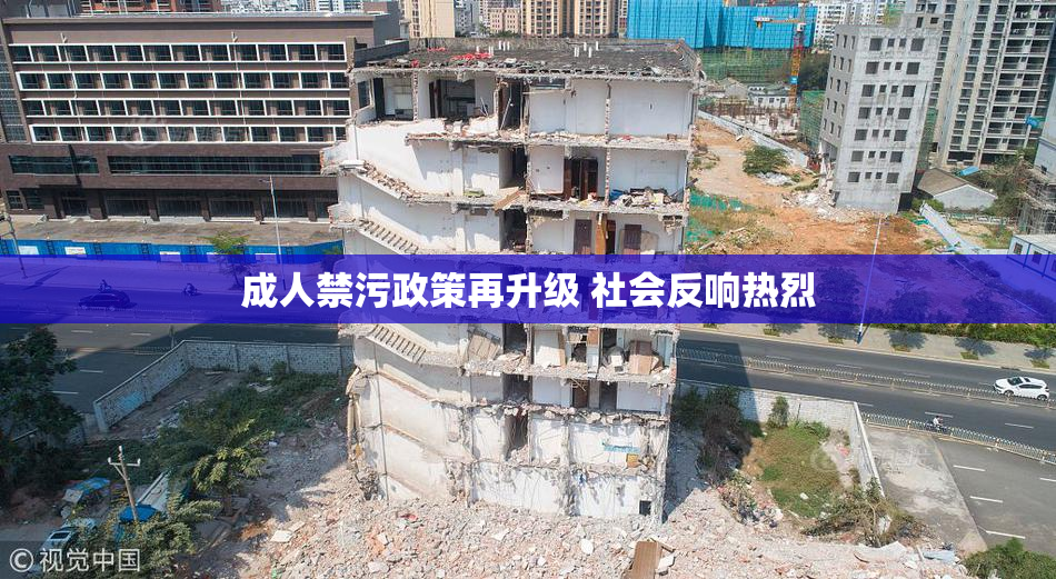 成人禁污政策再升级 社会反响热烈