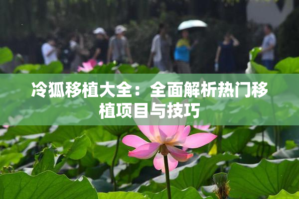 冷狐移植大全：全面解析热门移植项目与技巧