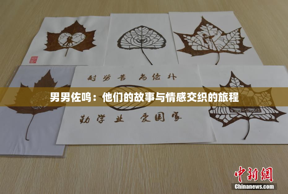 男男佐鸣：他们的故事与情感交织的旅程