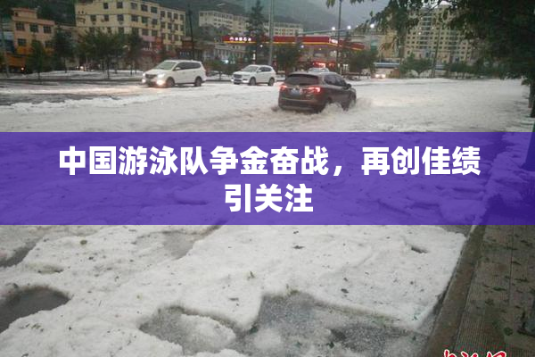 中国游泳队争金奋战，再创佳绩引关注