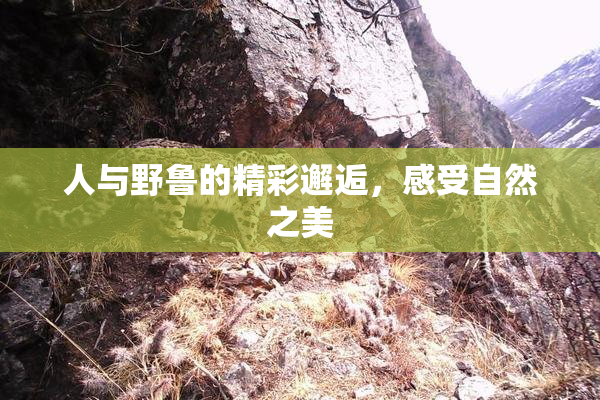 人与野鲁的精彩邂逅，感受自然之美