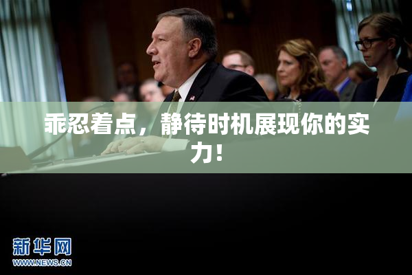 乖忍着点，静待时机展现你的实力！