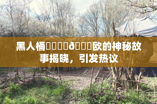 黑人桶❌‌❌‌🍑欧的神秘故事揭晓，引发热议