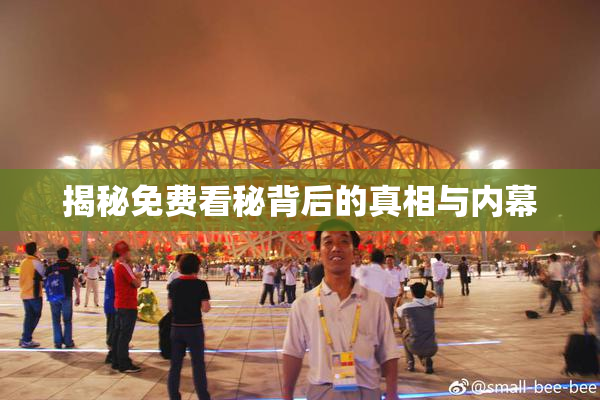 揭秘免费看秘背后的真相与内幕