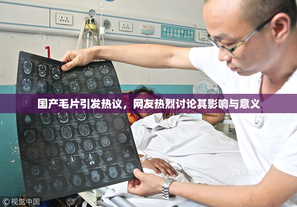 国产毛片引发热议，网友热烈讨论其影响与意义