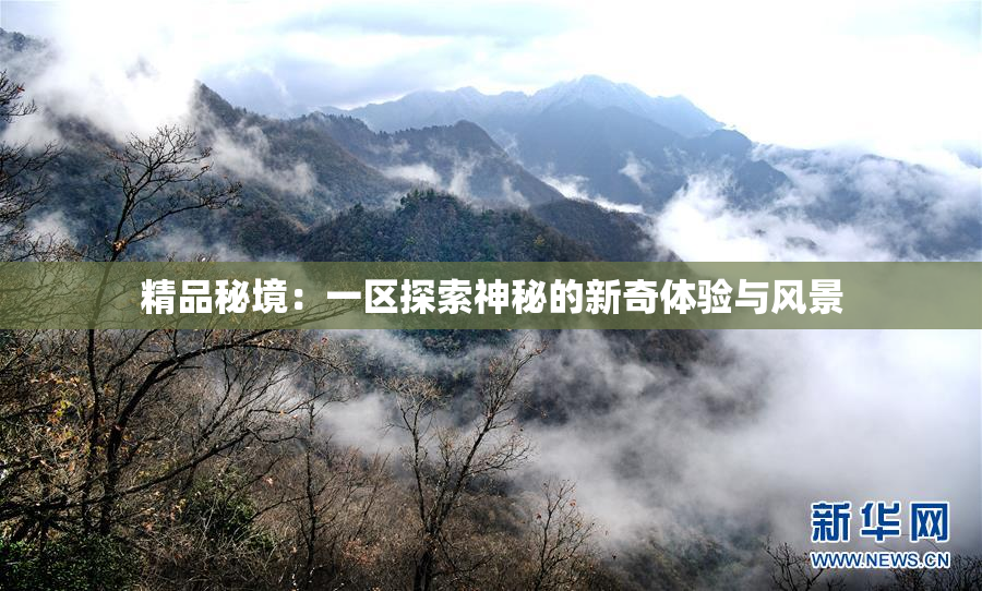 精品秘境：一区探索神秘的新奇体验与风景