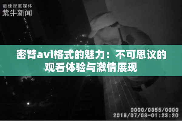 密臂avi格式的魅力：不可思议的观看体验与激情展现