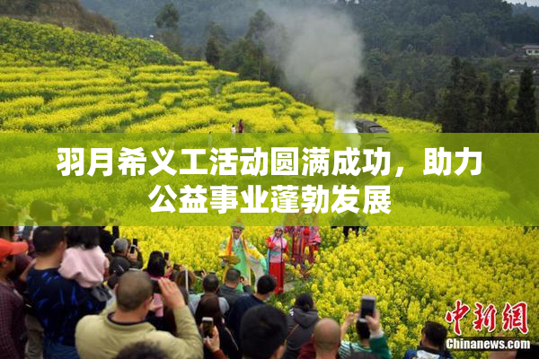 羽月希义工活动圆满成功，助力公益事业蓬勃发展