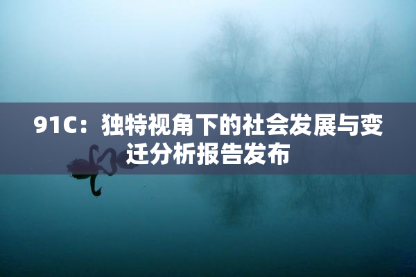 91C：独特视角下的社会发展与变迁分析报告发布