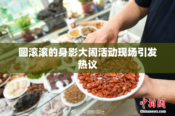 圆滚滚的身影大闹活动现场引发热议