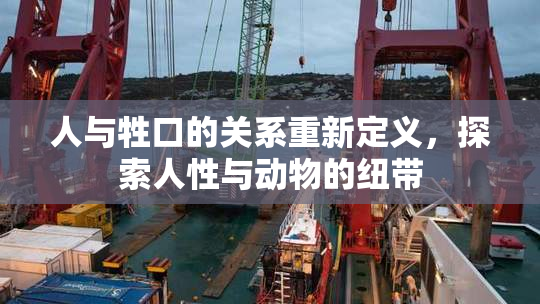 人与牲口的关系重新定义，探索人性与动物的纽带