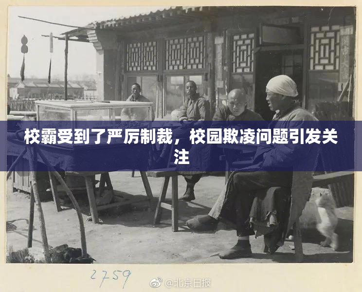 校霸受到了严厉制裁，校园欺凌问题引发关注