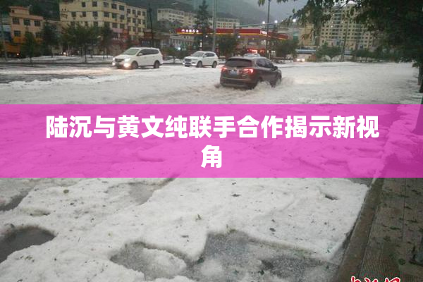 陆沉与黄文纯联手合作揭示新视角