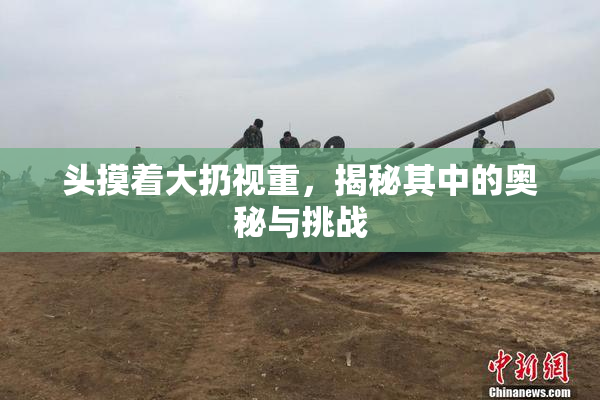 头摸着大扔视重，揭秘其中的奥秘与挑战