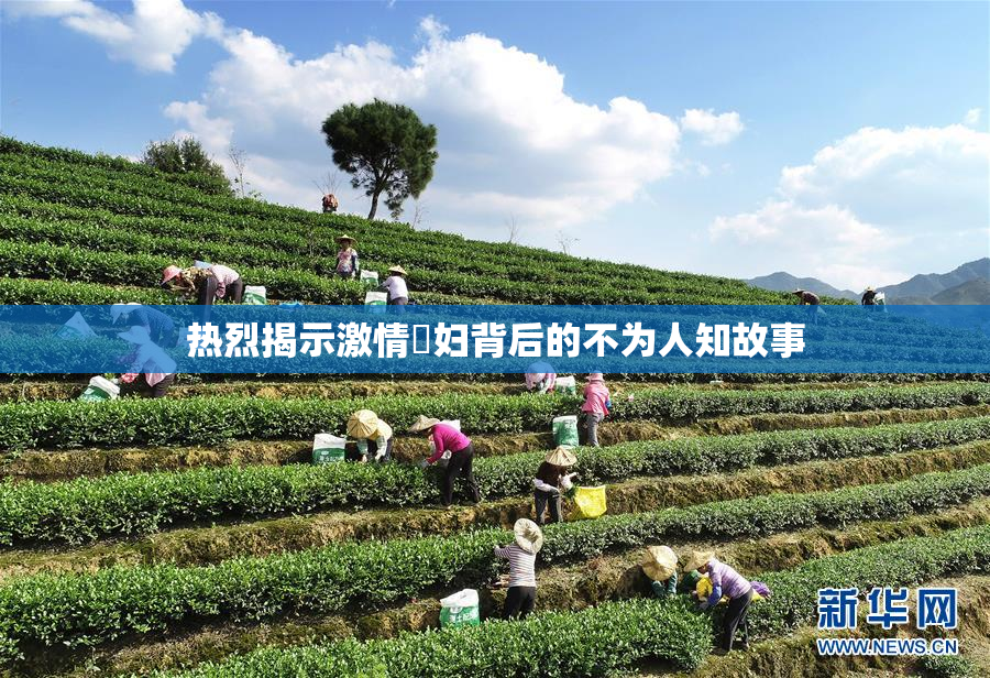 热烈揭示激情婬妇背后的不为人知故事