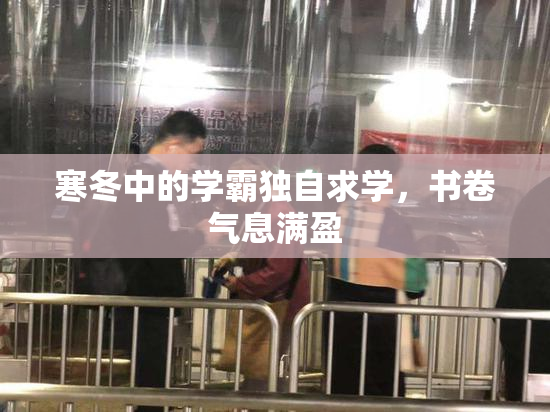寒冬中的学霸独自求学，书卷气息满盈